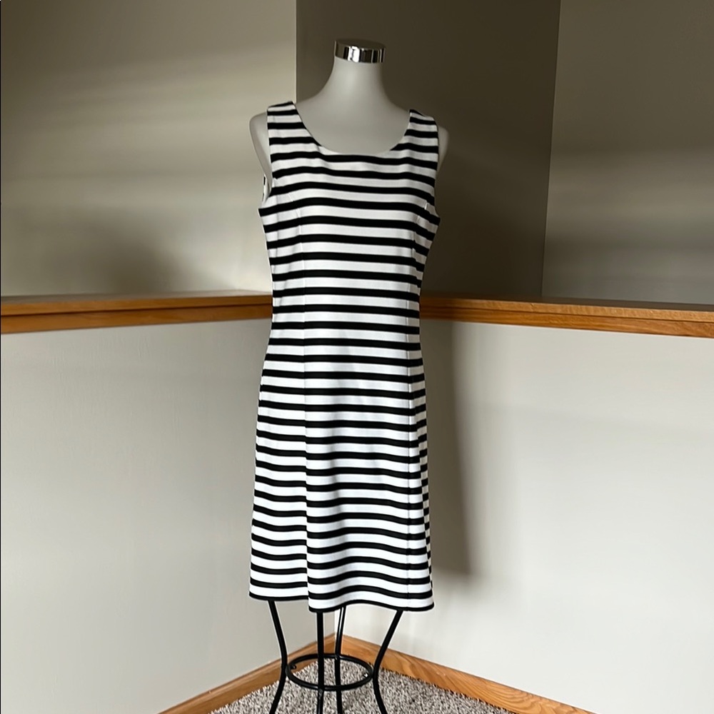 Charlie B white black stripe shift dress. NWT. Medium.